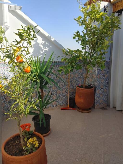 Dar Amane - Charmante Maison Marocaine Marrakesh Exterior foto