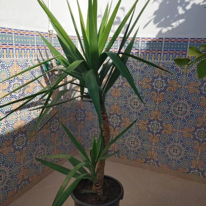 Dar Amane - Charmante Maison Marocaine Marrakesh Exterior foto